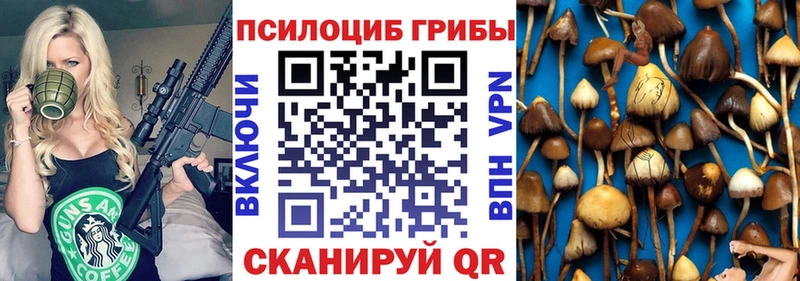 Галлюциногенные грибы Cubensis  Люберцы 