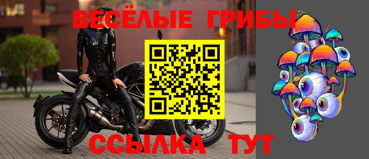 Люберцы  Псилоцибиновые грибы Magic Shrooms  Вход с VPN 